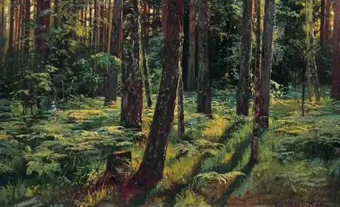 キャンバスに描かれた穏やかな森の朝日